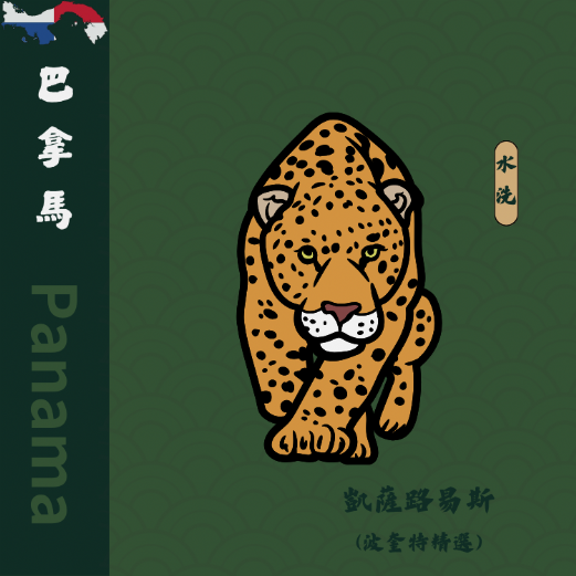 巴拿馬 凱薩路易斯(波奎特精選)